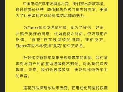 莲花降价风波：老车主愤怒抗议，品牌转型之路何去何从？