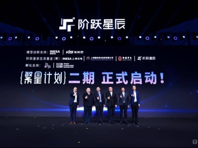 阶跃星辰引领AGI新纪元：大模型分化，AI+车成未来焦点？