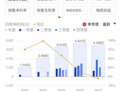 聚和材料2024年业绩揭秘：光伏竞争加剧下增收难增利