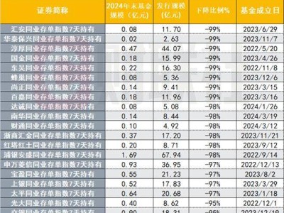 同业存单指数基金：爆款与迷你基并存，规模之谜何解？