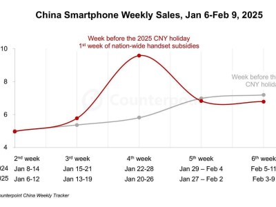 国补助力！中国智能手机市场1月销量猛增，逼近2900万部大关