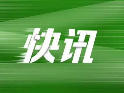 光伏业步入“黑暗森林”，阿特斯董事长呼吁：专利勿成内卷利刃