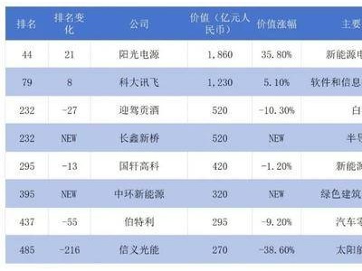 合肥五企闪耀2024胡润中国500强榜单，新能源科技成亮点！