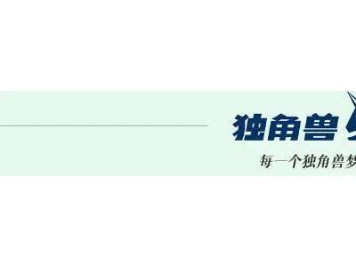 雷军登顶新首富：亲和力与技术创新能否守护其财富王座？