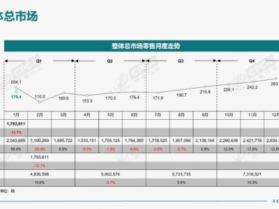 2025年1月全国新能源汽车市场全解析：趋势、细分与排名