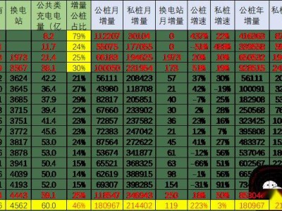 2025年1月全国充电桩市场概览：公桩私桩齐增，布局待优化