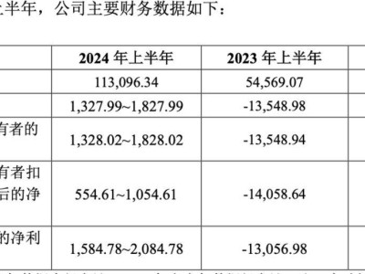 飞骧科技重启IPO路，上半年盈利反转，“清华学霸”实控人负债疑云待解