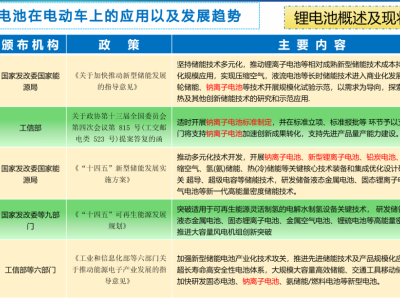 圆柱锂电池引领电动车未来：雷宝荣详解应用趋势与挑战