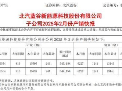 北汽蓝谷新能源销量大增4倍，40岁女董秘赵冀薪酬三年三级跳