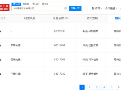 理想汽车布局未来，新商标“前瞻先锋”透露何种战略意图？