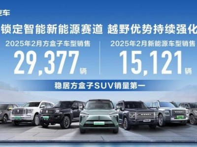 长城“方盒子SUV”销量冠军水分几何？新能源转型困境凸显