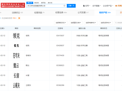 吉利汽车新色彩战略：星瑞东方曜与苍穹灰商标申请引关注