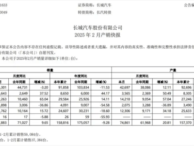 长城汽车2月销量揭晓：新能源与海外成亮点，未来发力点何在？