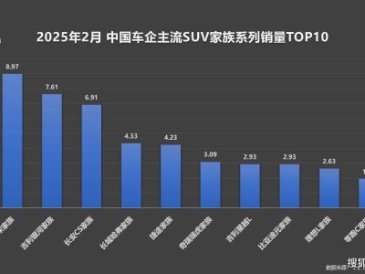 比亚迪宋家族销量夺冠，混动纯电双管齐下引领新能源SUV新时代