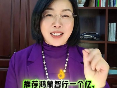 问界“野生销售员”爆火，非教授身份澄清，63小时卖753台车真相揭秘