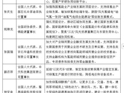 氢能产业蓄势待发，代表委员共谋破局之道助力“双碳”目标