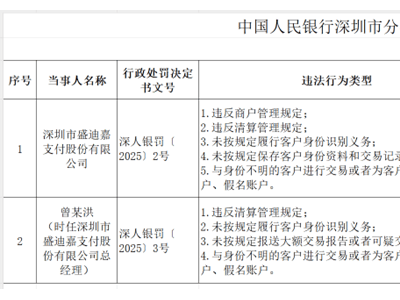 盛迪嘉支付违规遭重罚737万，总经理个人被罚23.5万