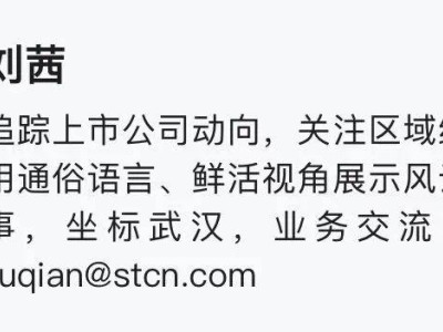 比亚迪435亿港元H股配售成功，汽车业最大股权再融资案落地！