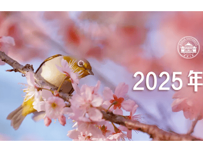 武大樱花季预约开启，2025年赏樱攻略来啦！