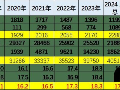 2025年2月乘用车市场：价格段结构变化，新能源与传统燃油车的较量？