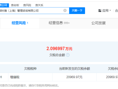 保时捷中国管理咨询公司缘何陷入欠税风波？
