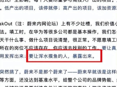 蔚来李斌谈工时填报：明确贡献，拒绝摸鱼，加速公司变革