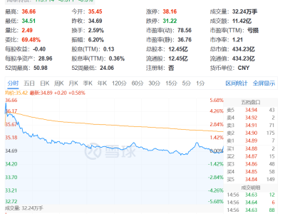 {闻泰科技“断臂”求生，半导体业务能否撑起未来？）