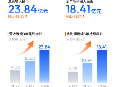 地平线财报揭秘：营收大涨五成，净亏损为何还扩大了？