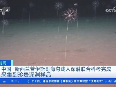 中国-新西兰科考队深海探险，75小时5潜创纪录，发现众多新物种