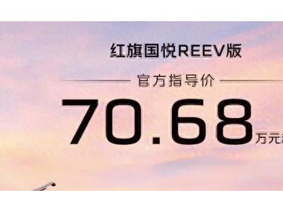 红旗国悦REEV版豪华登场，2.0T增程动力，高端商务新选择！