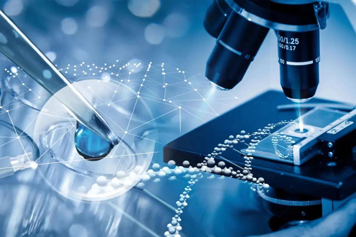 孙昌璞探讨基础科学研究